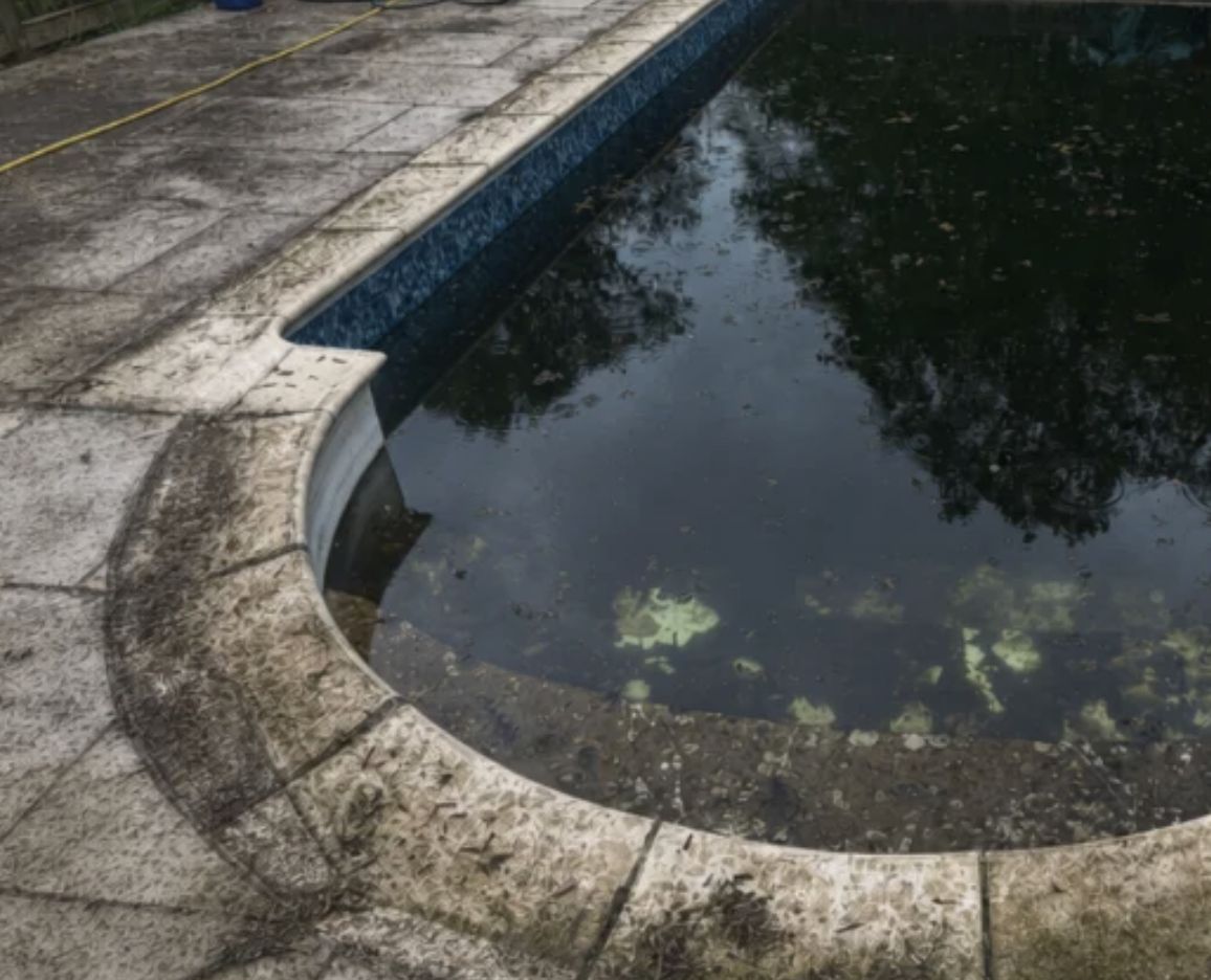 Close up of a dirty pool and surround