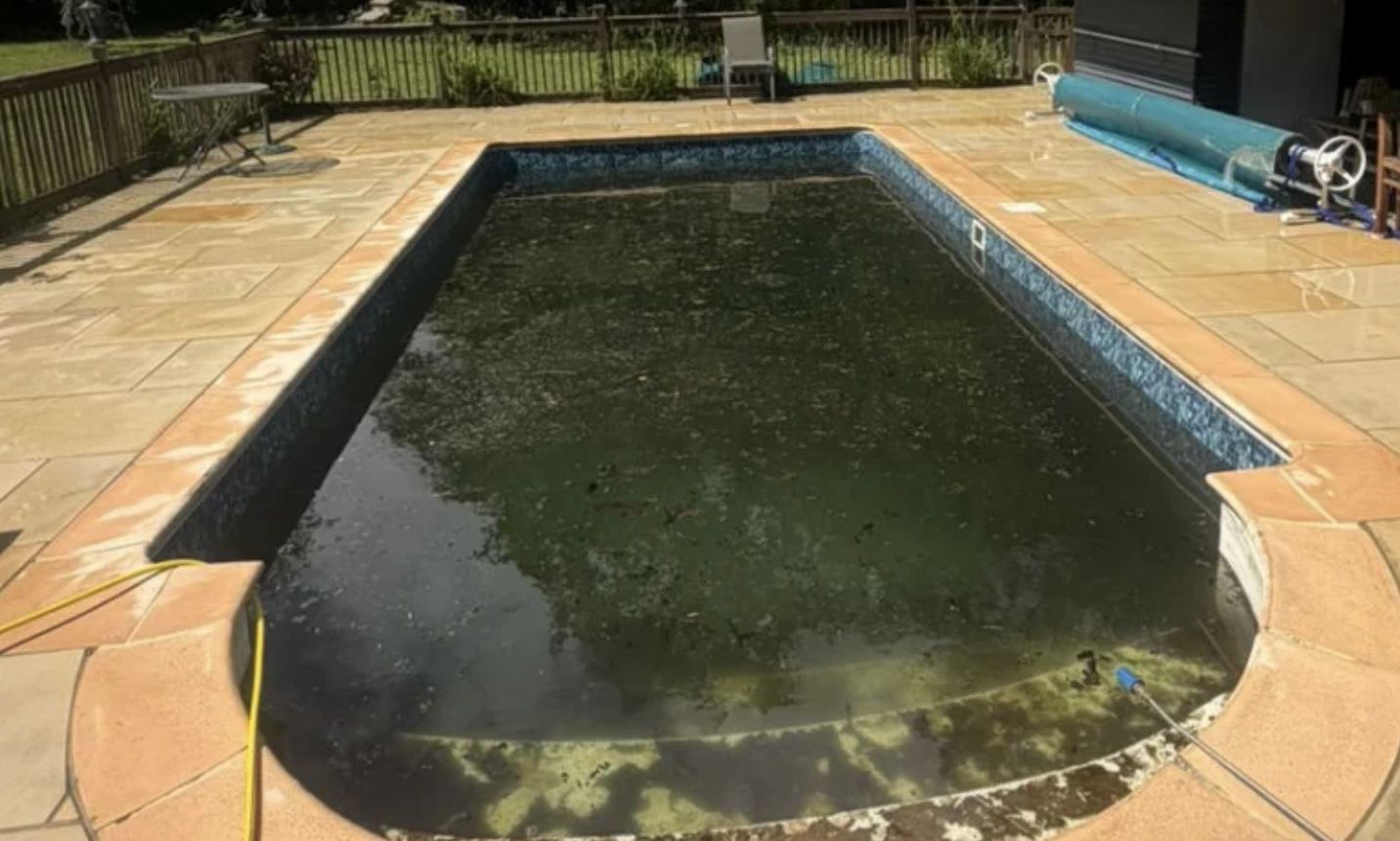 A green algae filled pool before treatment