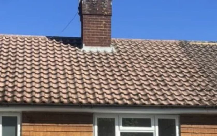 Mossy roof on a brick house before cleaning