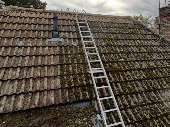 Heavily mossed roof with access ladder