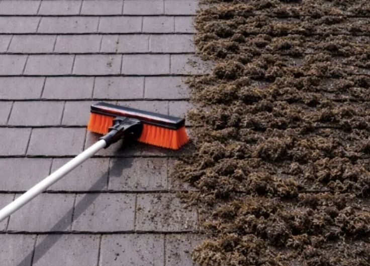 Moss being brushed from a roof