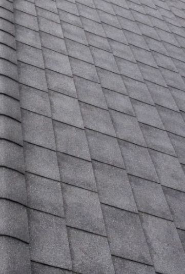 Shingle roof cleaned by Arcline