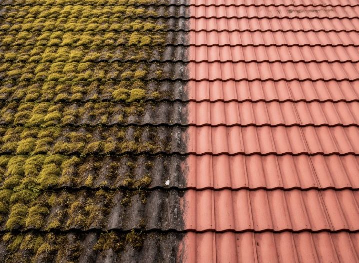 Terracotta tiled roof, half covered in moss and half cleaned